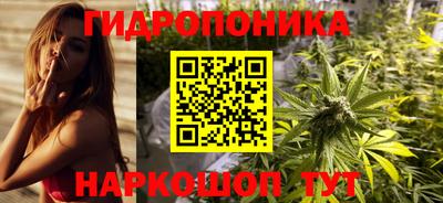 скорость Можга