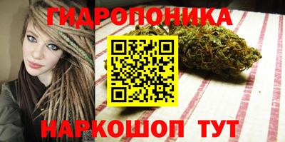 стафф Моздок