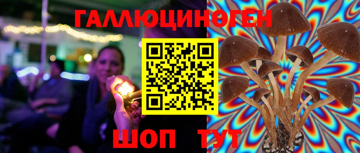 Севастополь  Псилоцибиновые грибы Psilocybine cubensis  Галлюциногенные грибы мицелий  Вход с VPN 